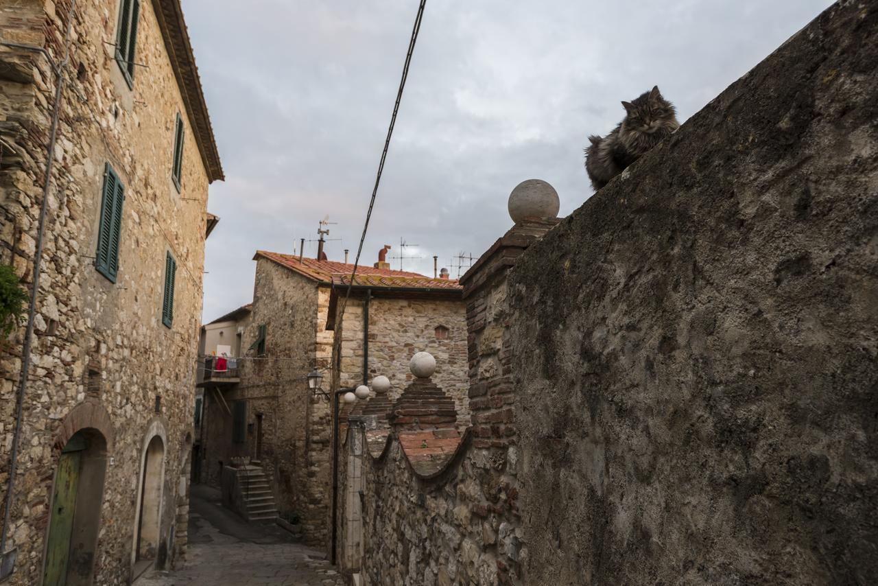 Il Chiostro Appartamenti & Suites Суверето Экстерьер фото